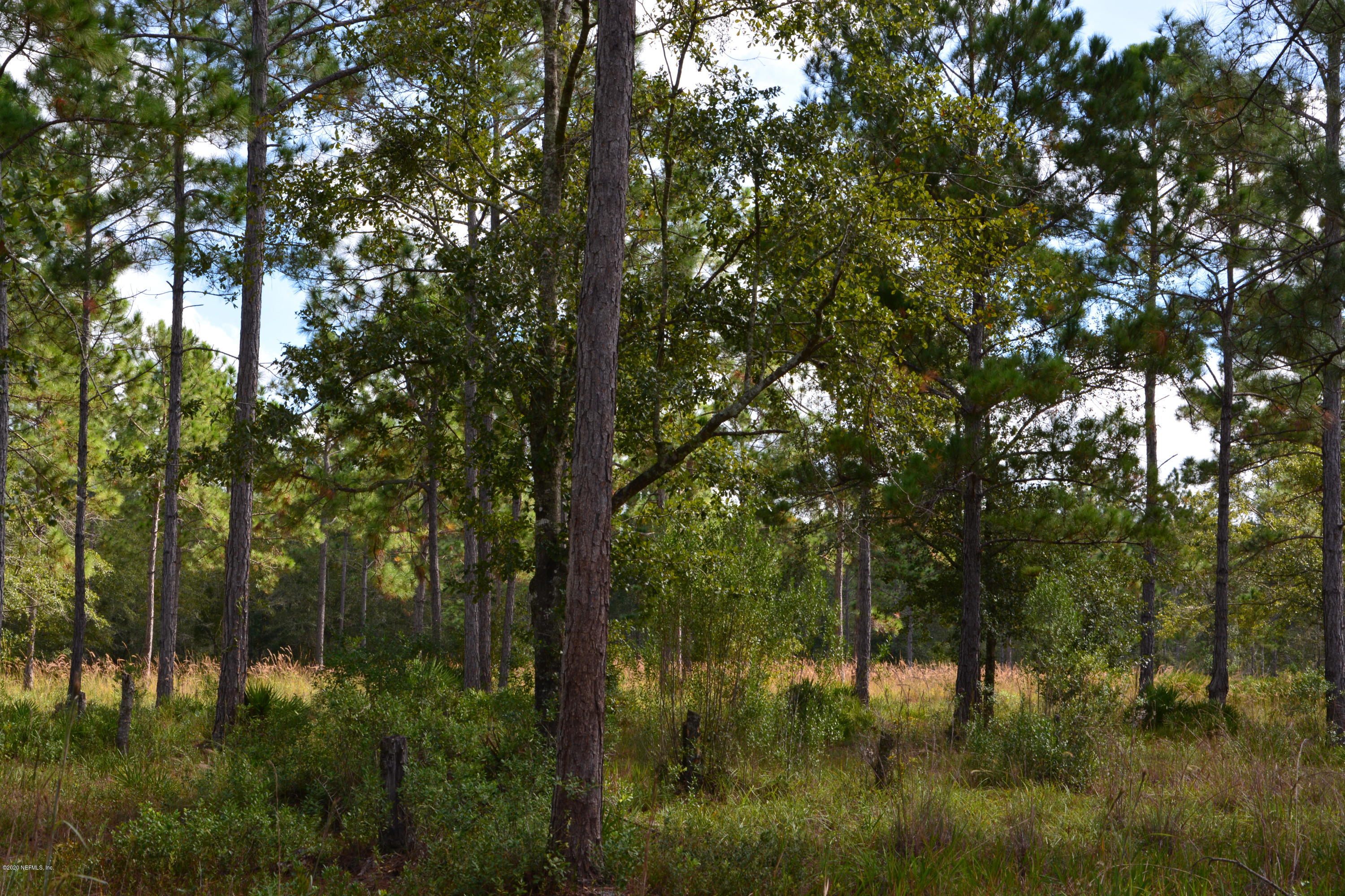 4438 Bondarenko Road Keystone Heights, FL 32656 - Photo 2 of 4 DSC_0003