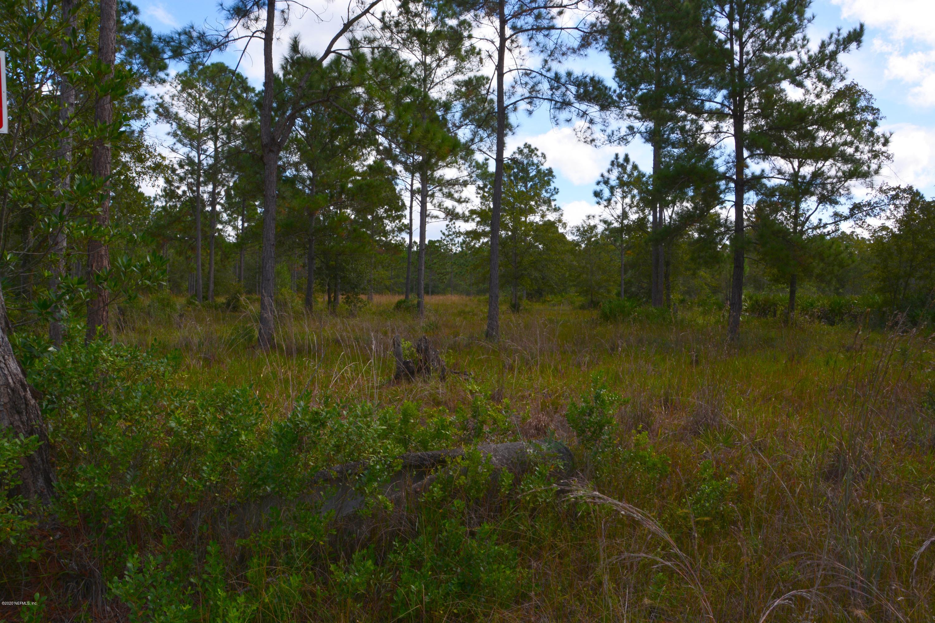4438 Bondarenko Road Keystone Heights, FL 32656 - Photo 3 of 4 DSC_0004