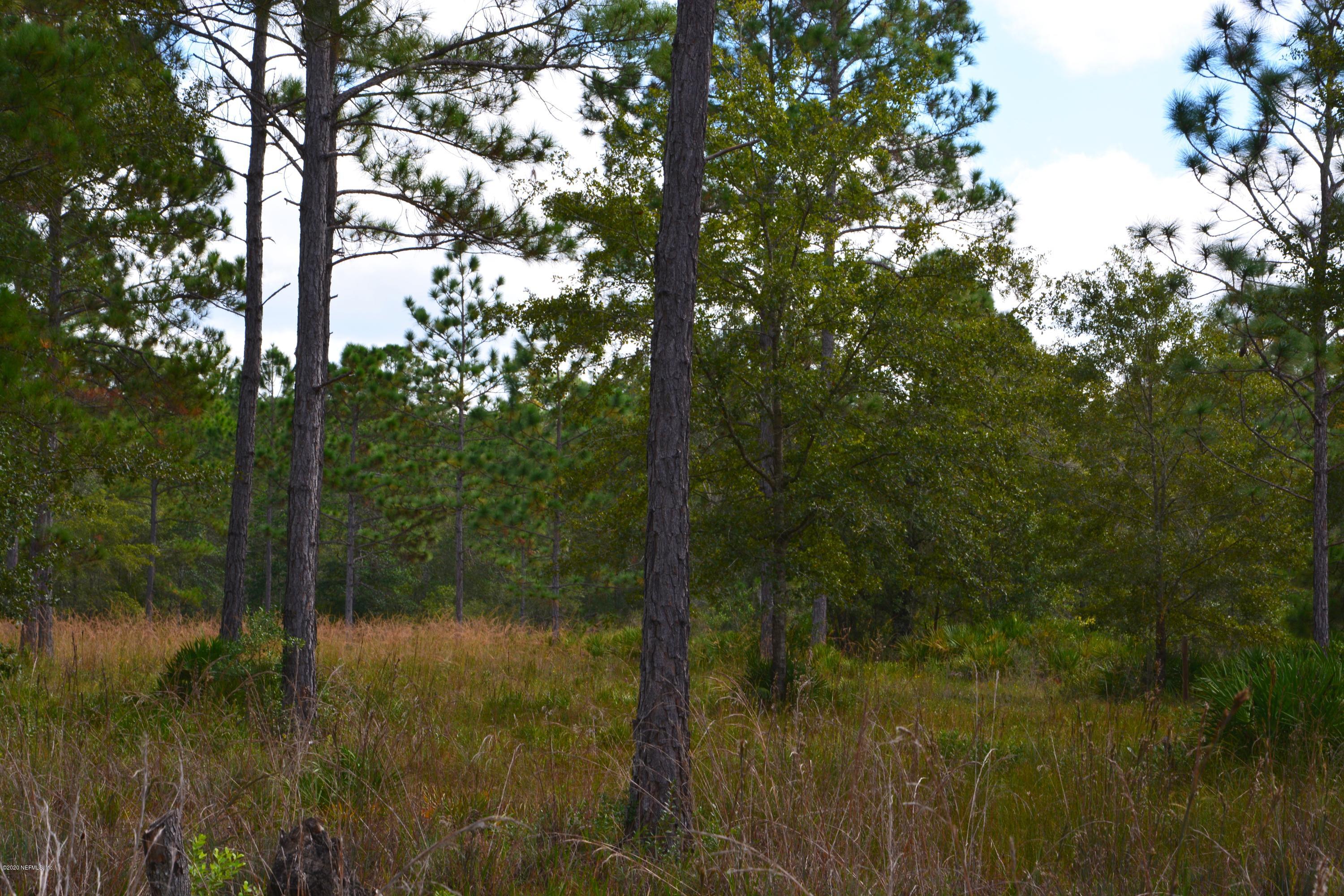 4438 Bondarenko Road Keystone Heights, FL 32656 - Photo 4 of 4 DSC_0005