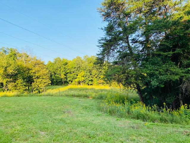 355 Mcfall Road Albany, KY 42602 - Photo 26 of 28 IMG_7213