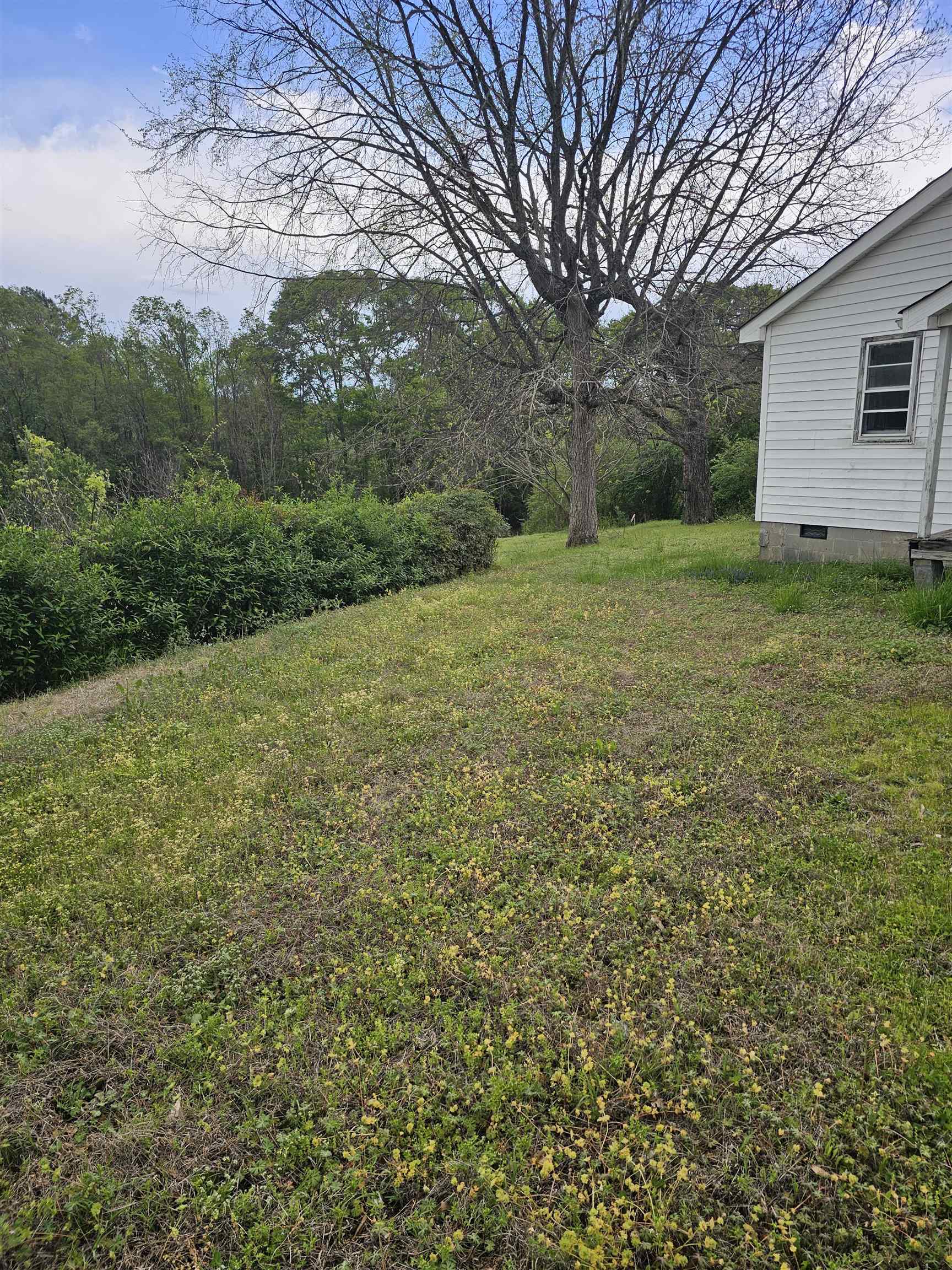 114 State Rd S-44-661 Jonesville, SC 29353 - Photo 5 of 13