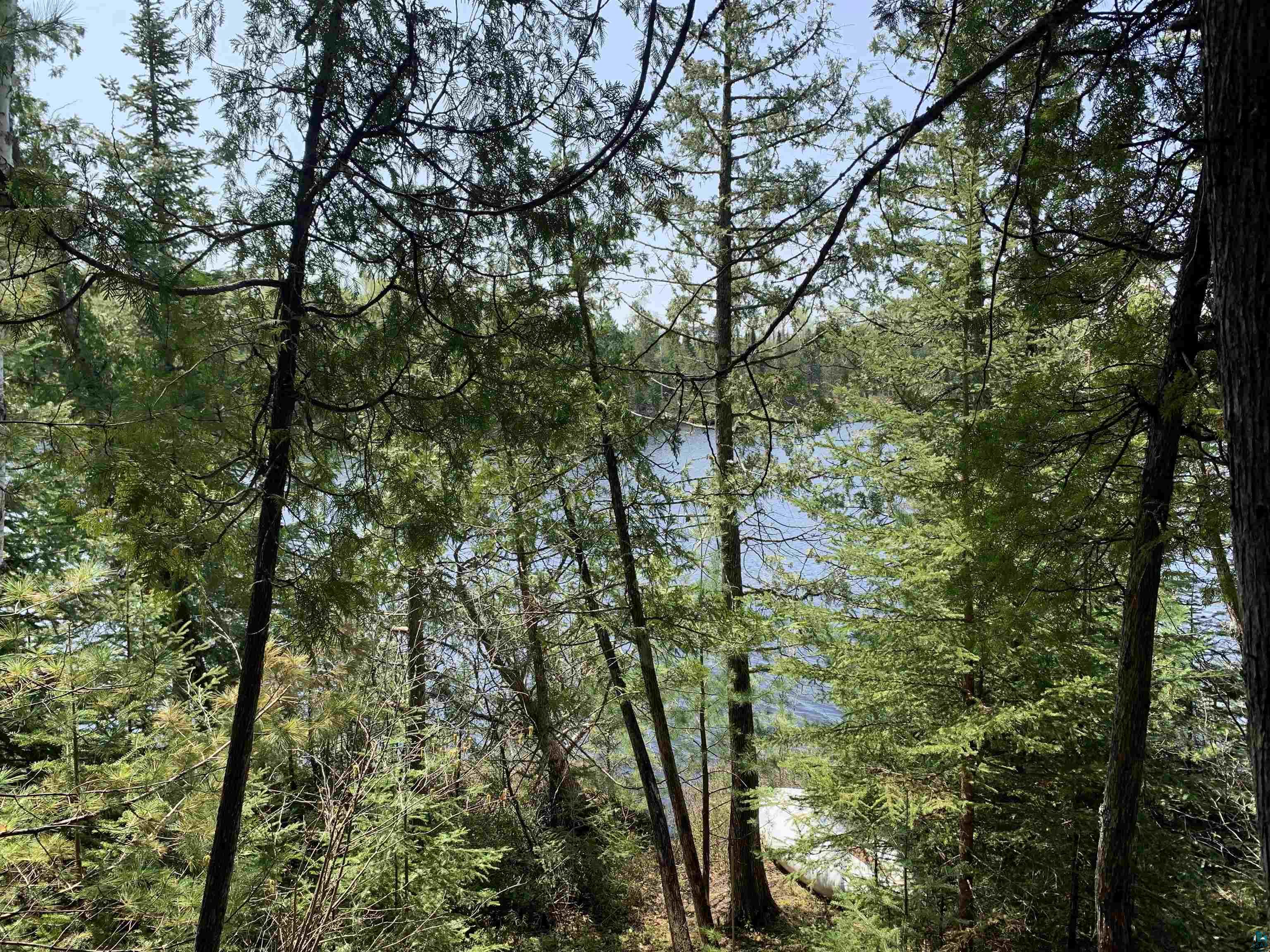 Lot 4 Squint Lake Road Grand Marais, MN 55604 - Photo 11 of 19