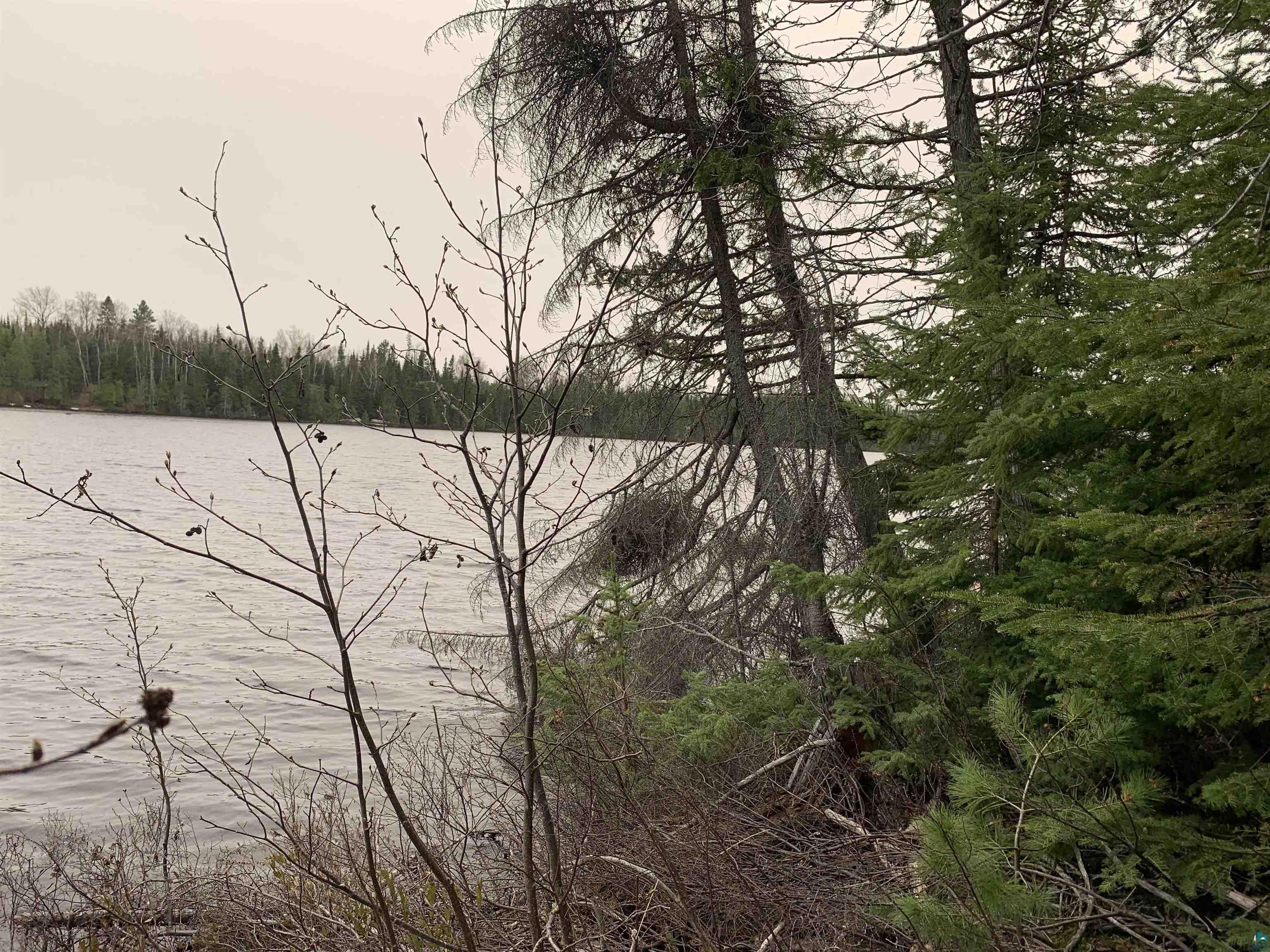 Lot 4 Squint Lake Road Grand Marais, MN 55604 - Photo 14 of 19