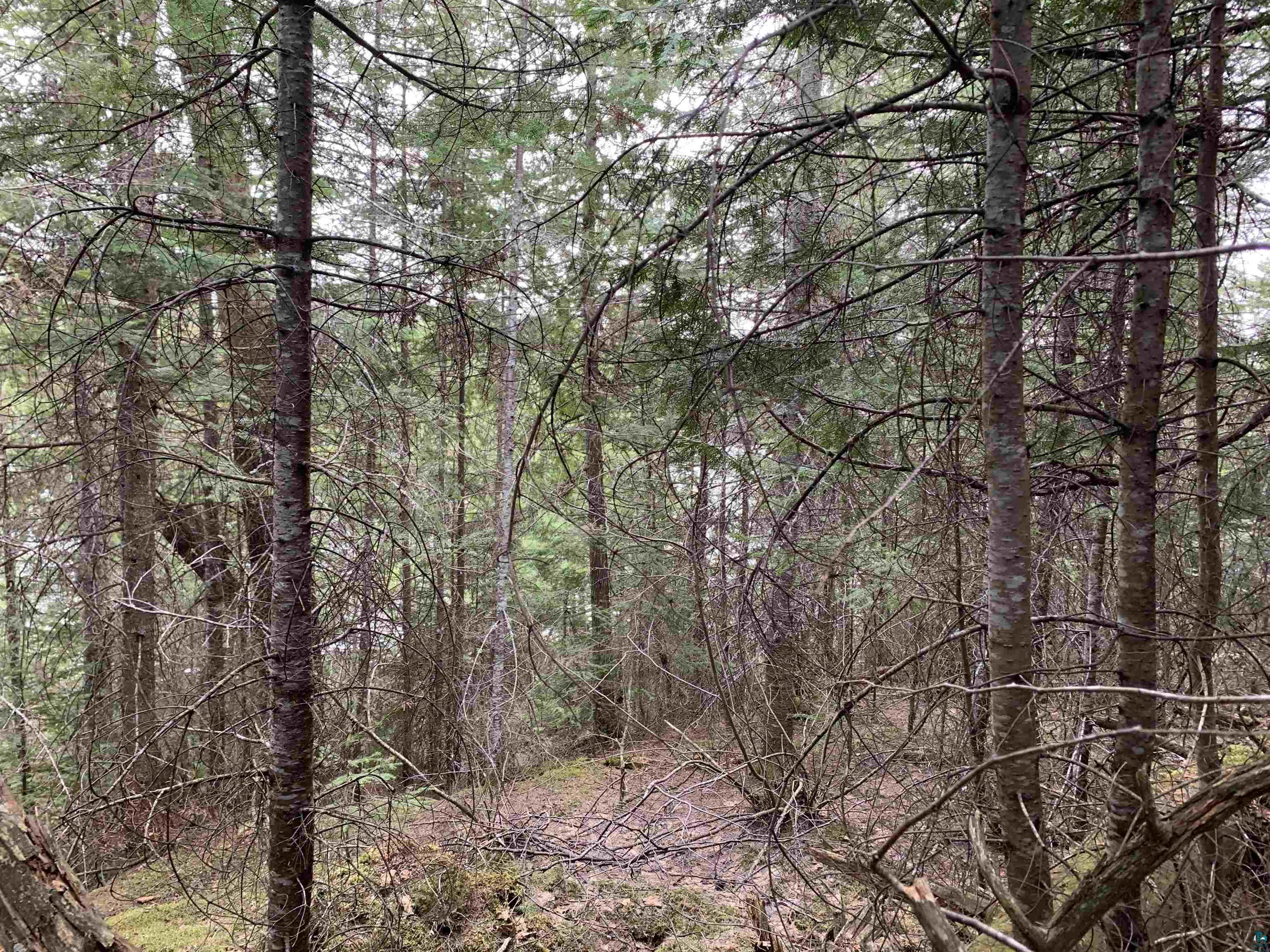 Lot 4 Squint Lake Road Grand Marais, MN 55604 - Photo 16 of 19