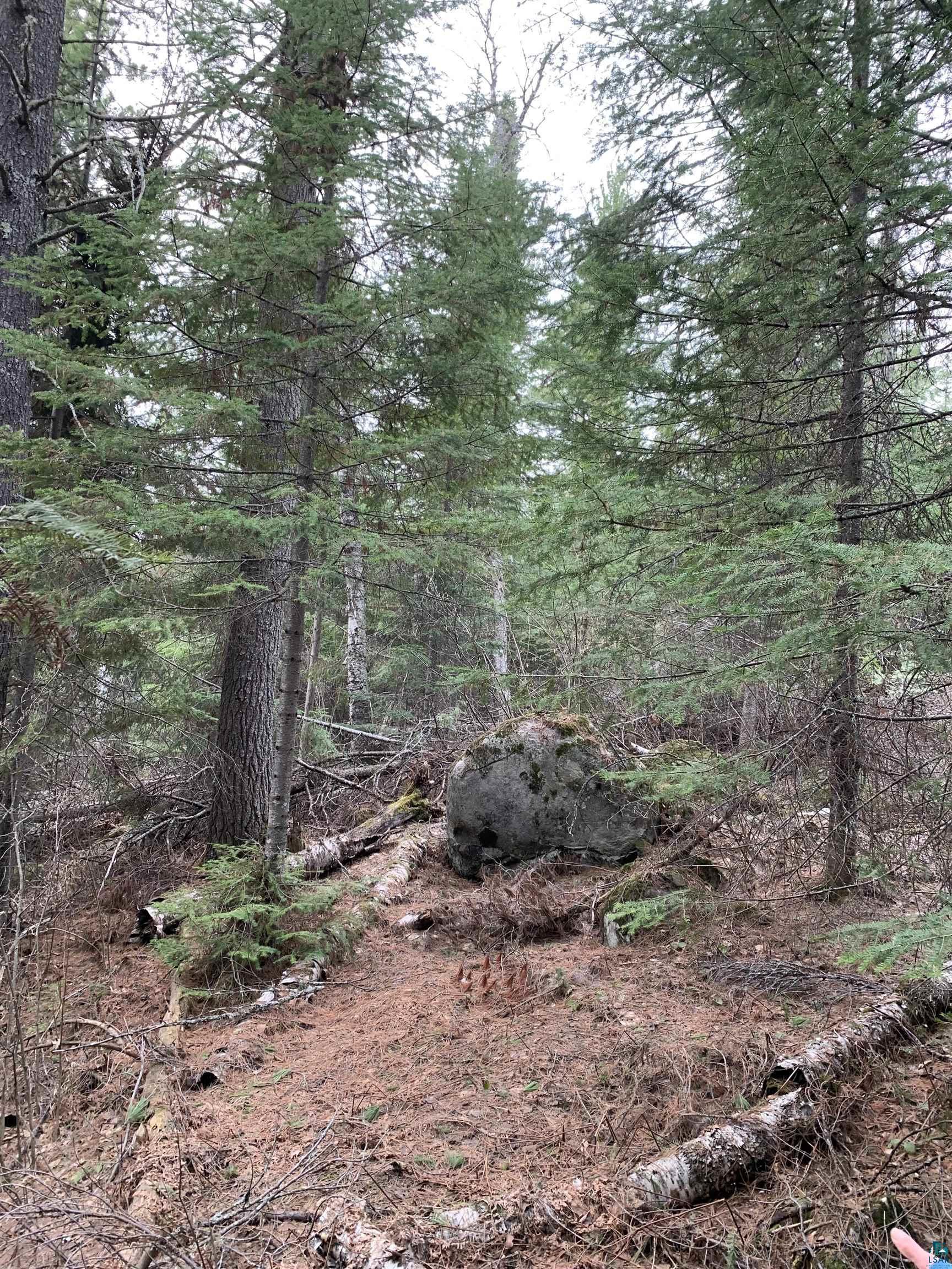 Lot 4 Squint Lake Road Grand Marais, MN 55604 - Photo 18 of 19