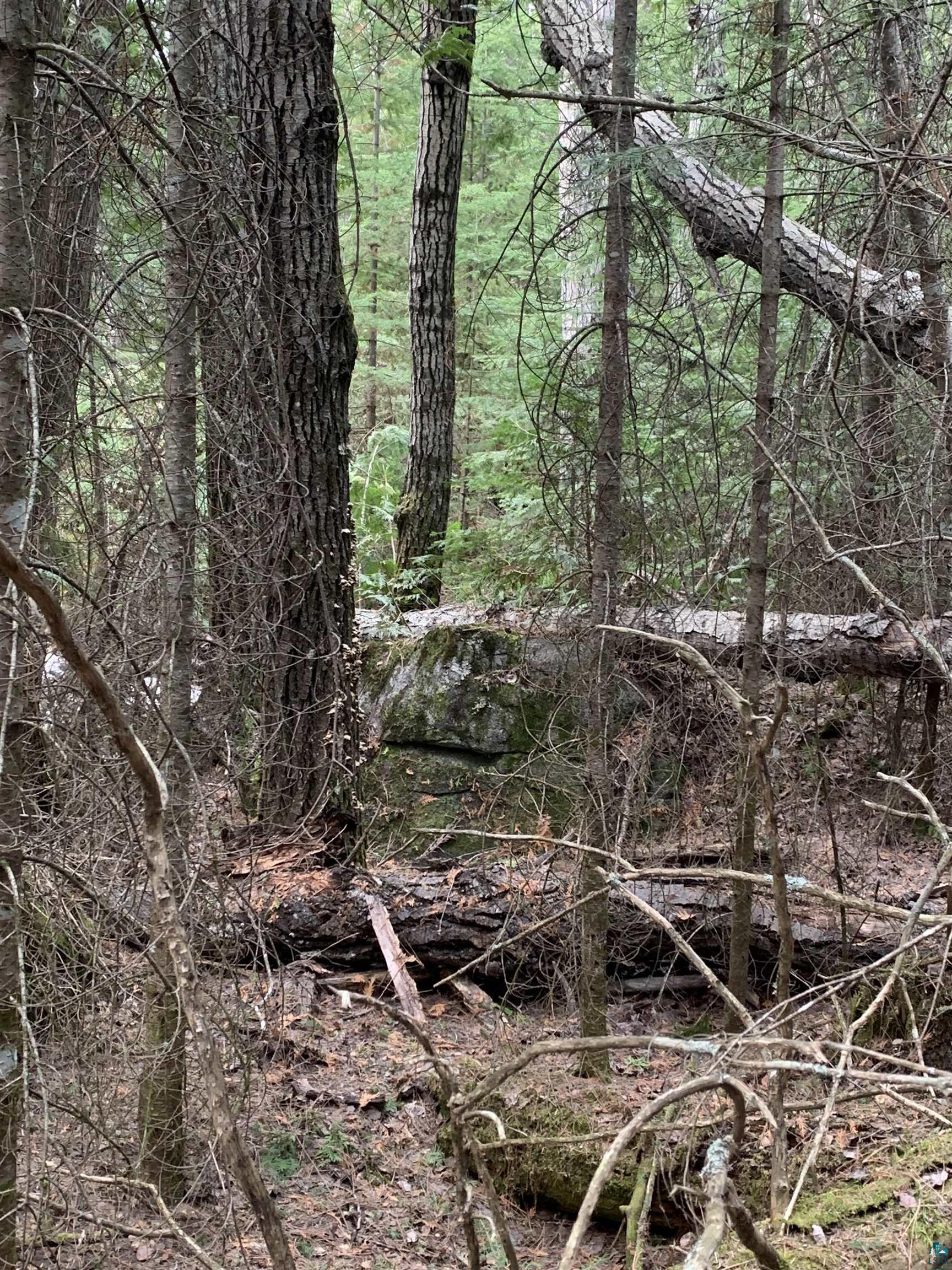 Lot 4 Squint Lake Road Grand Marais, MN 55604 - Photo 19 of 19