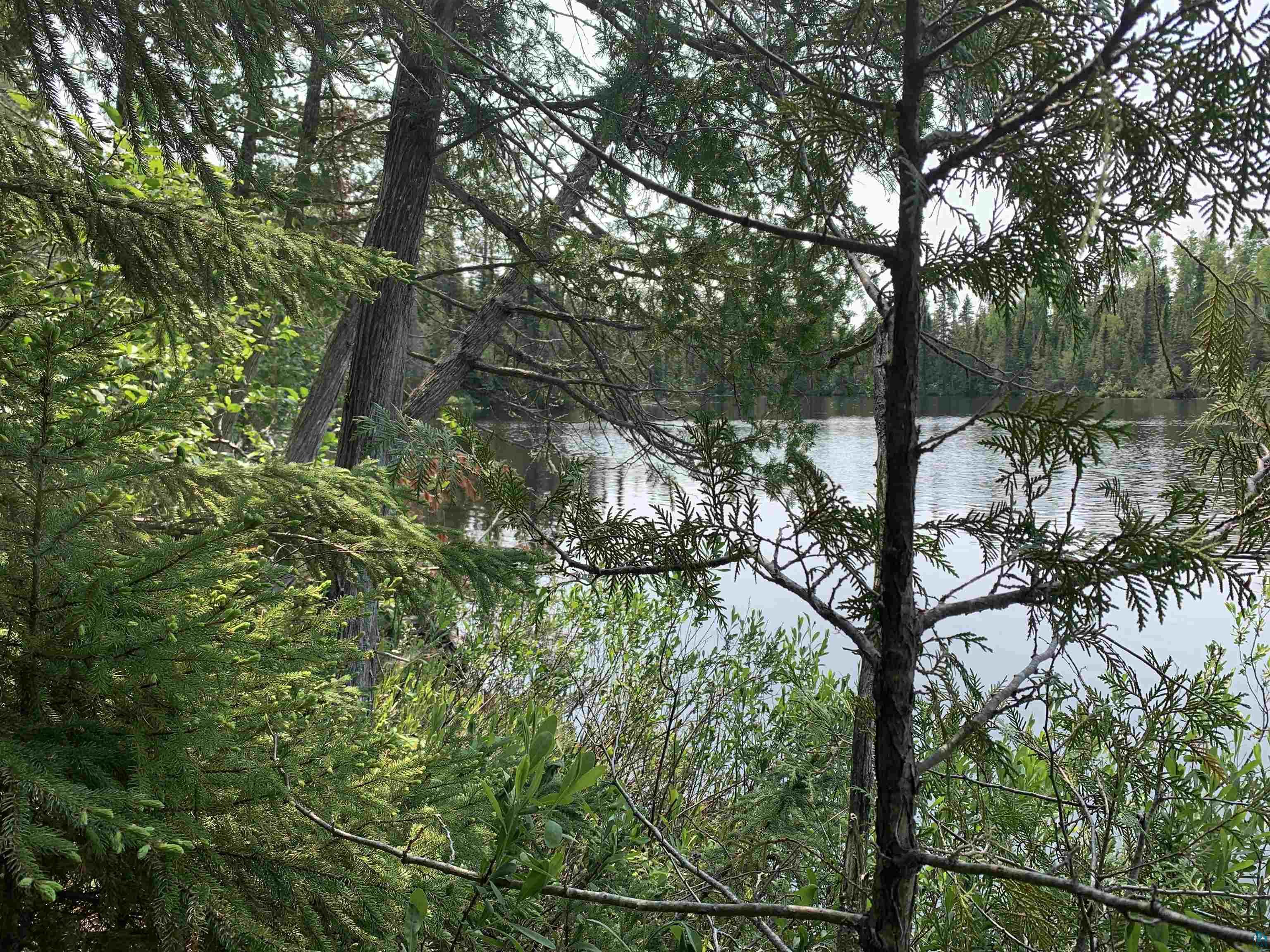 Lot 4 Squint Lake Road Grand Marais, MN 55604 - Photo 2 of 19