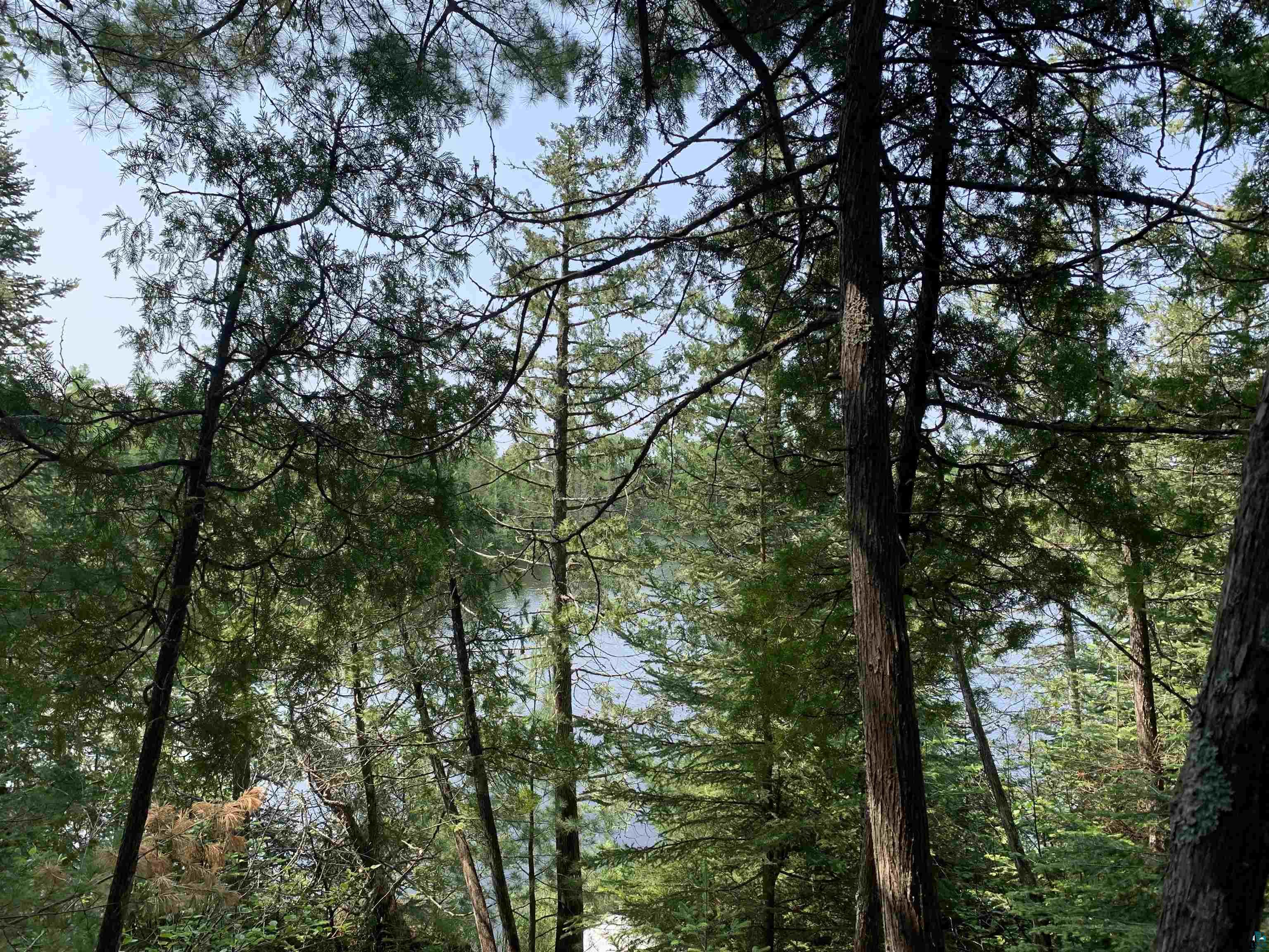 Lot 4 Squint Lake Road Grand Marais, MN 55604 - Photo 4 of 19