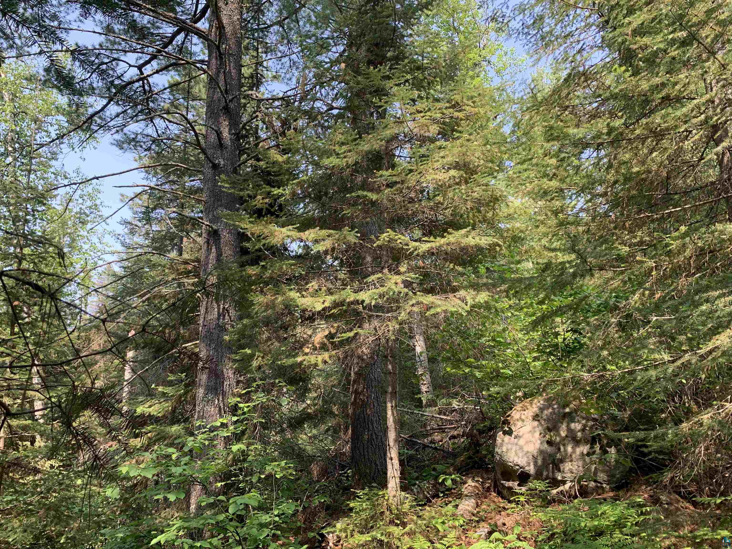 Lot 4 Squint Lake Road Grand Marais, MN 55604 - Photo 5 of 19