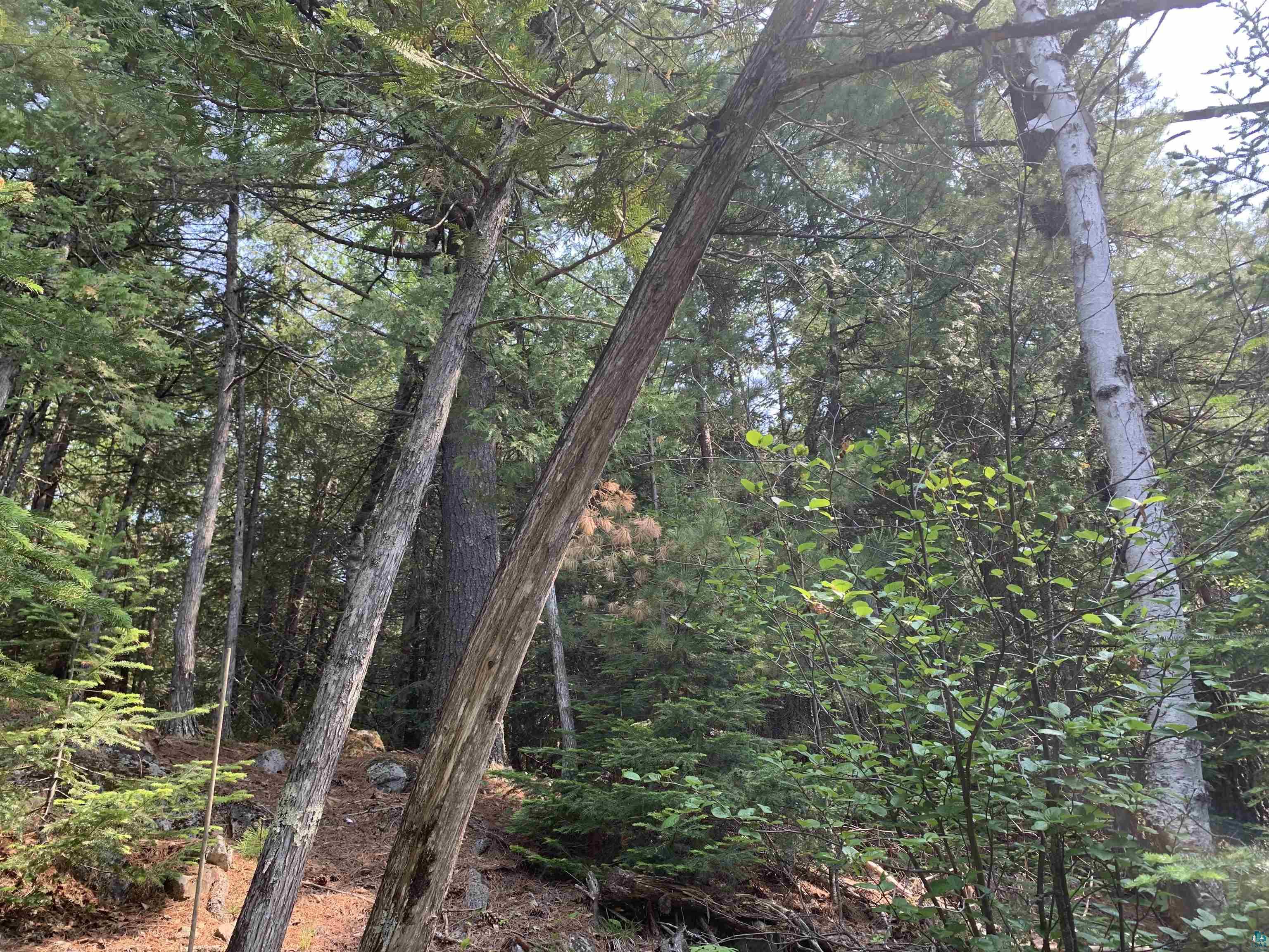 Lot 4 Squint Lake Road Grand Marais, MN 55604 - Photo 6 of 19
