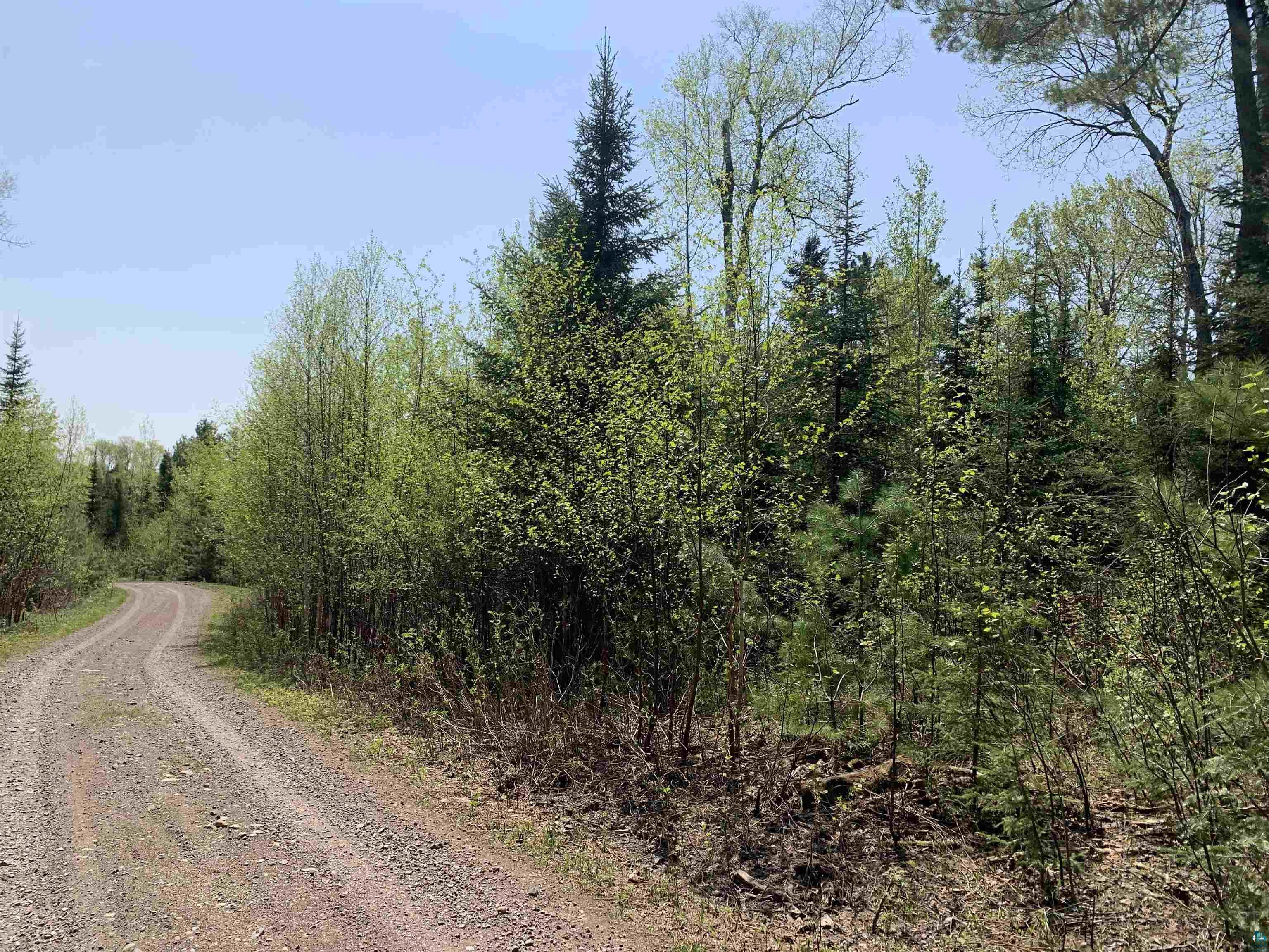 Lot 4 Squint Lake Road Grand Marais, MN 55604 - Photo 9 of 19