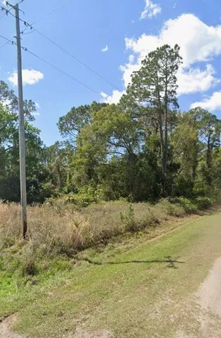 a view of a yard with a tree