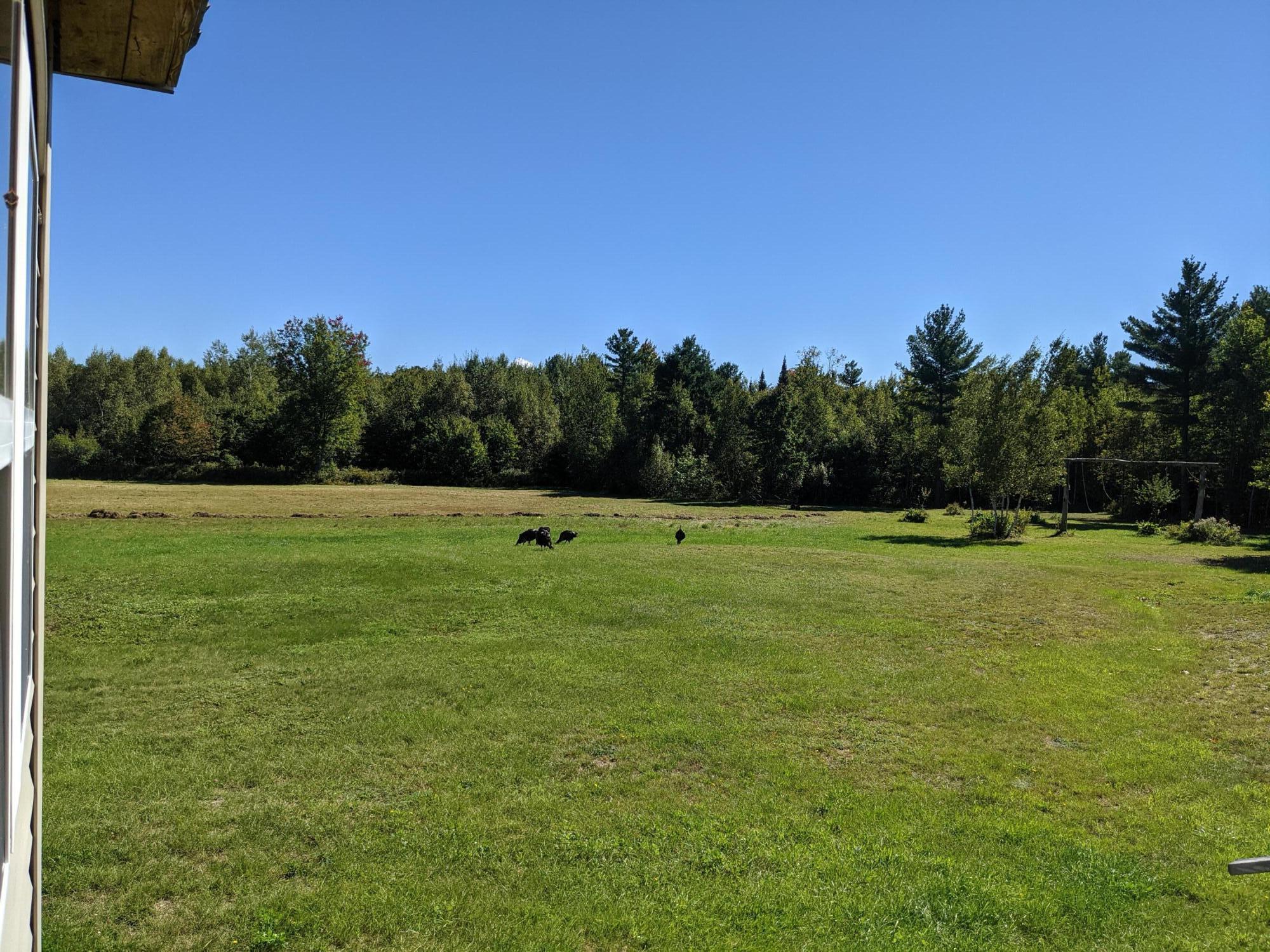 86 Goulds Ridge Road Passadumkeag, ME 04475 - Photo 24 of 83 PXL_20210919_153311224