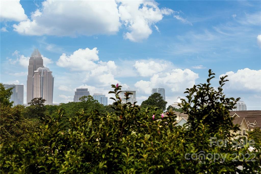 1505 Parson Street Charlotte, NC 28205 - Photo 16 of 48