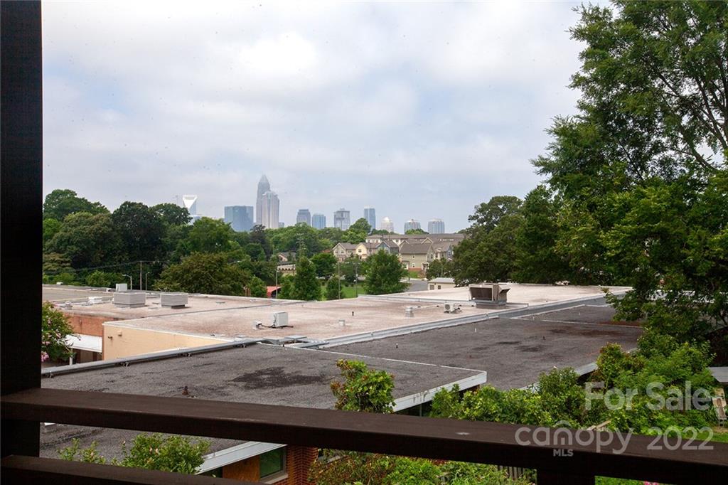 1505 Parson Street Charlotte, NC 28205 - Photo 26 of 48