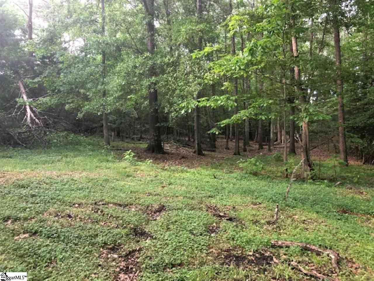 246 Log Shoals Road Greenville, SC 29607 - Photo 17 of 33 Gallery Image 17