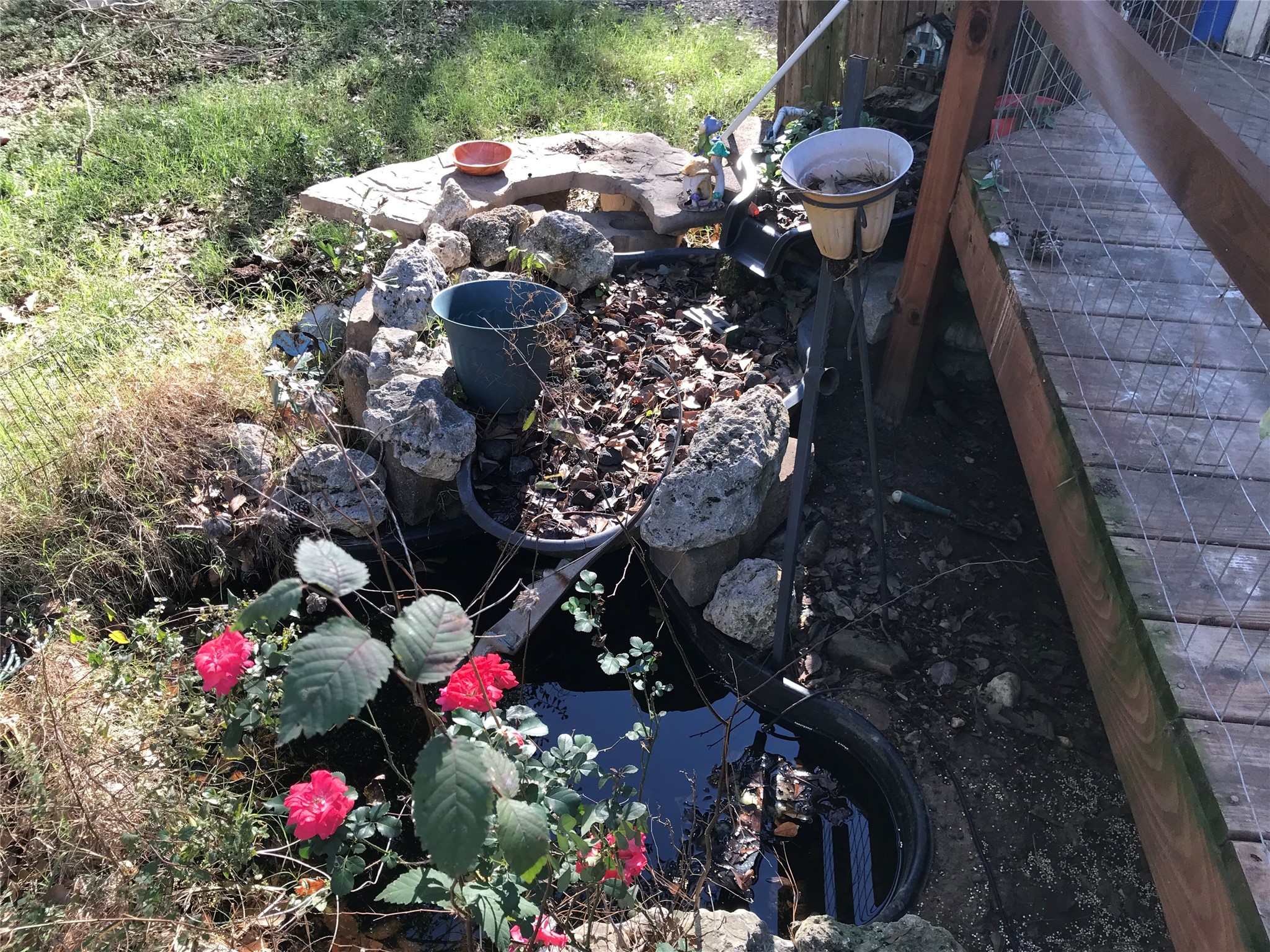 31606 Bryan Street Magnolia, TX 77355 - Photo 14 of 19 a picture of flowers