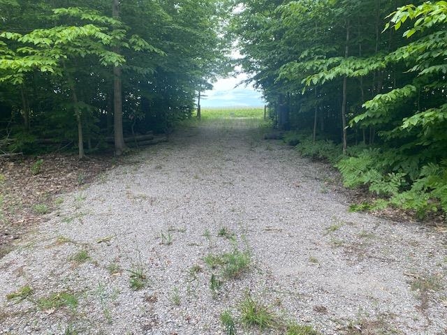 Green Briar Road Lake Ann, MI 49650 - Photo 12 of 16 1947287-cec6b9f8-cbe7-4343-a984-3e8811966b10.JPG