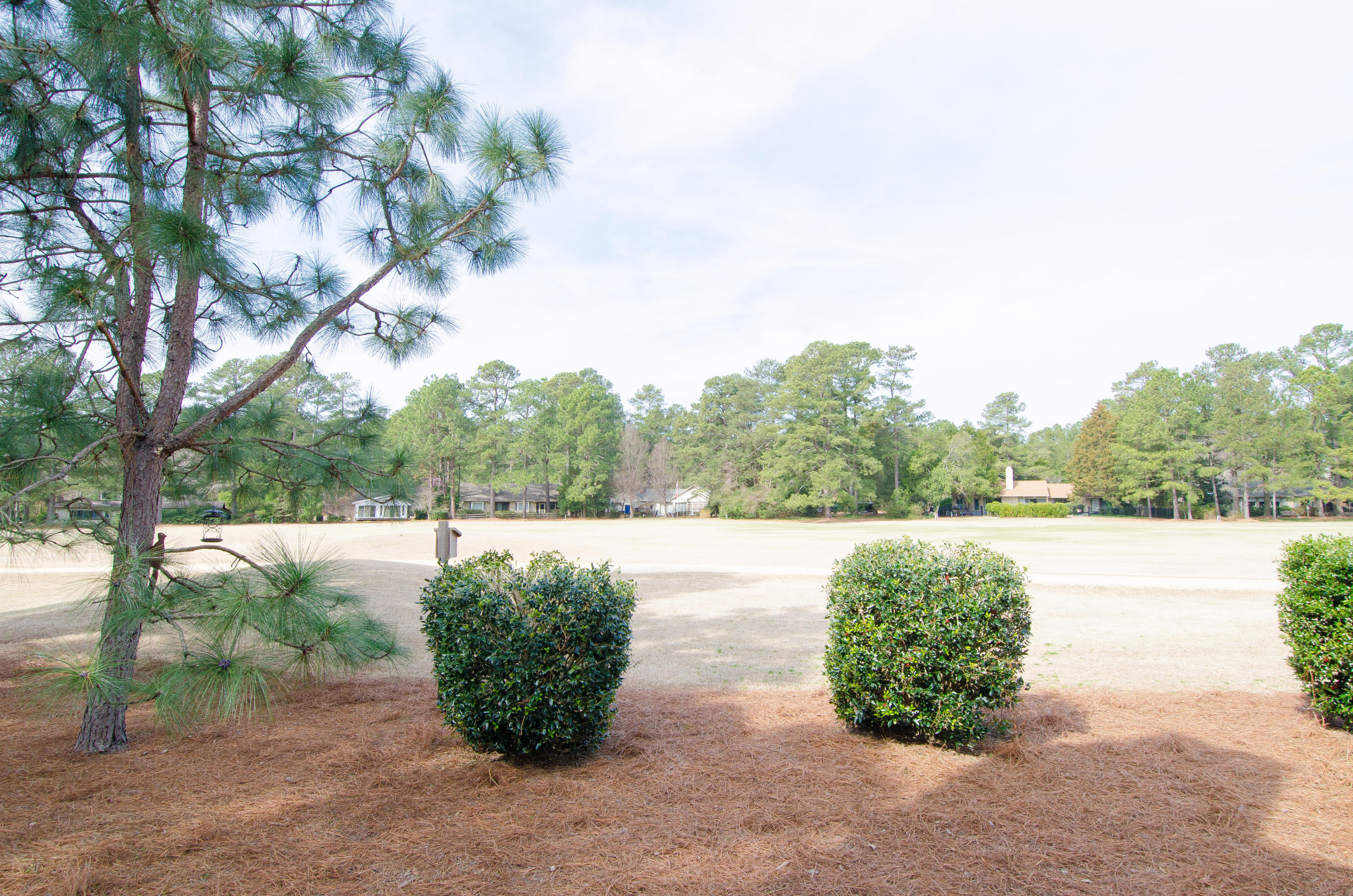 195 Ridgewood Road Pinehurst, NC 28374 - Photo 78 of 103 Golf Front Views