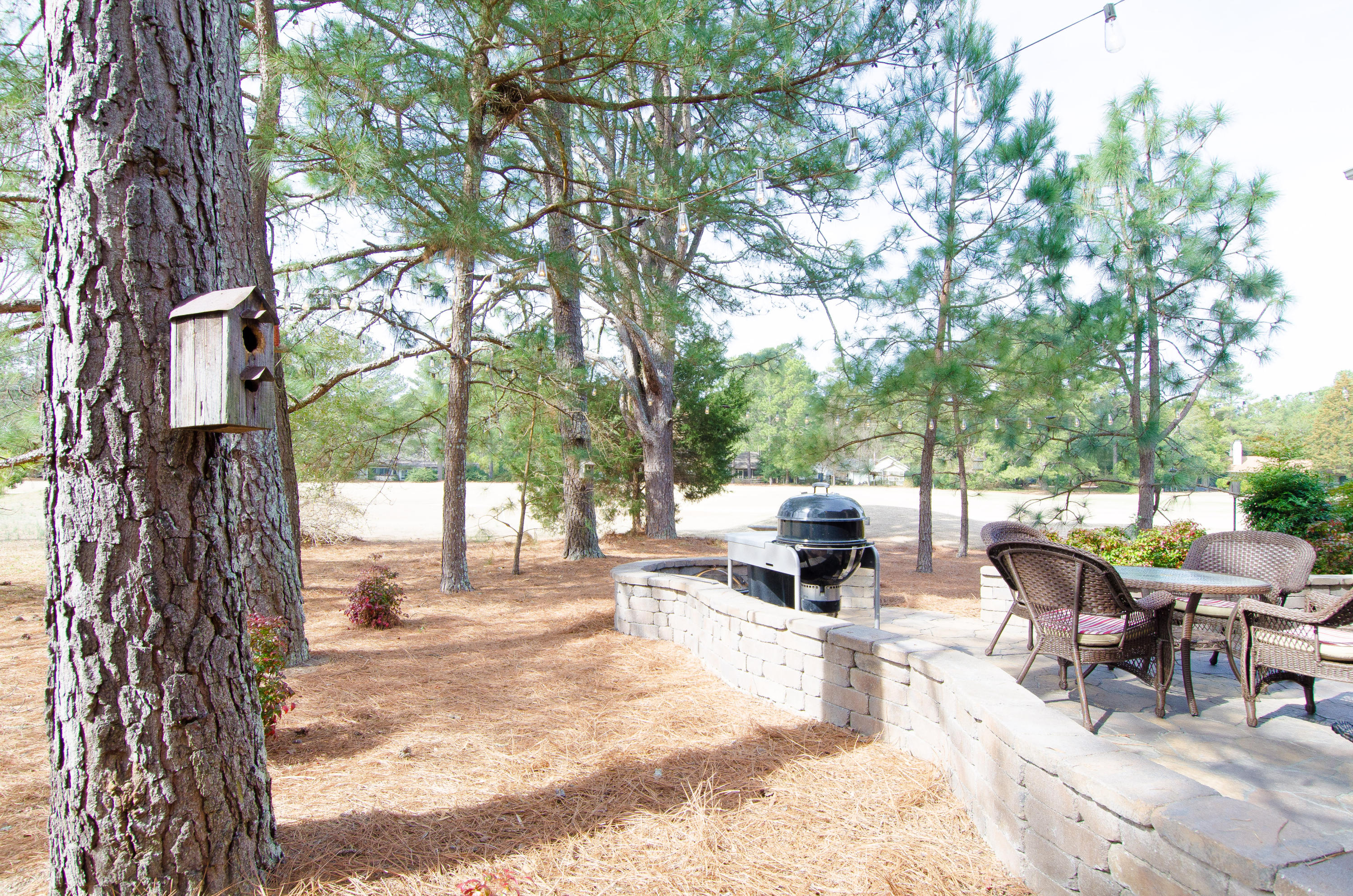 195 Ridgewood Road Pinehurst, NC 28374 - Photo 86 of 103 Patio 2