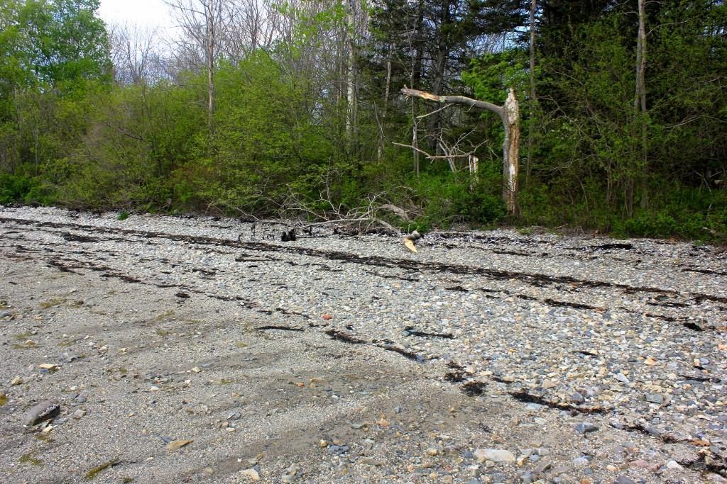 0 Sunset Road Deer Isle, ME 04627 - Photo 5 of 6 Photo