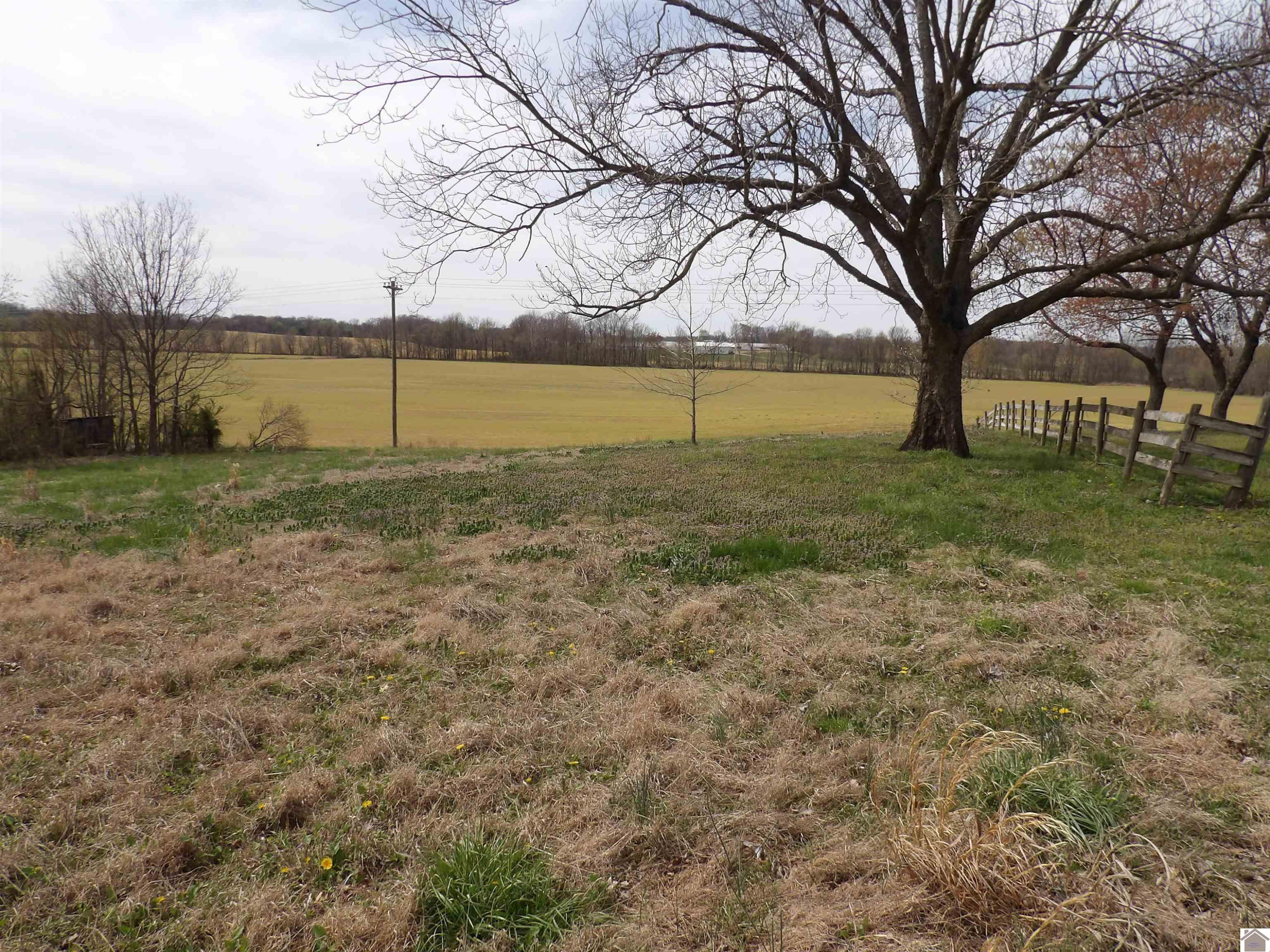 3162 Wingo Road Wingo, KY 42088 - Photo 19 of 20 Photo 19