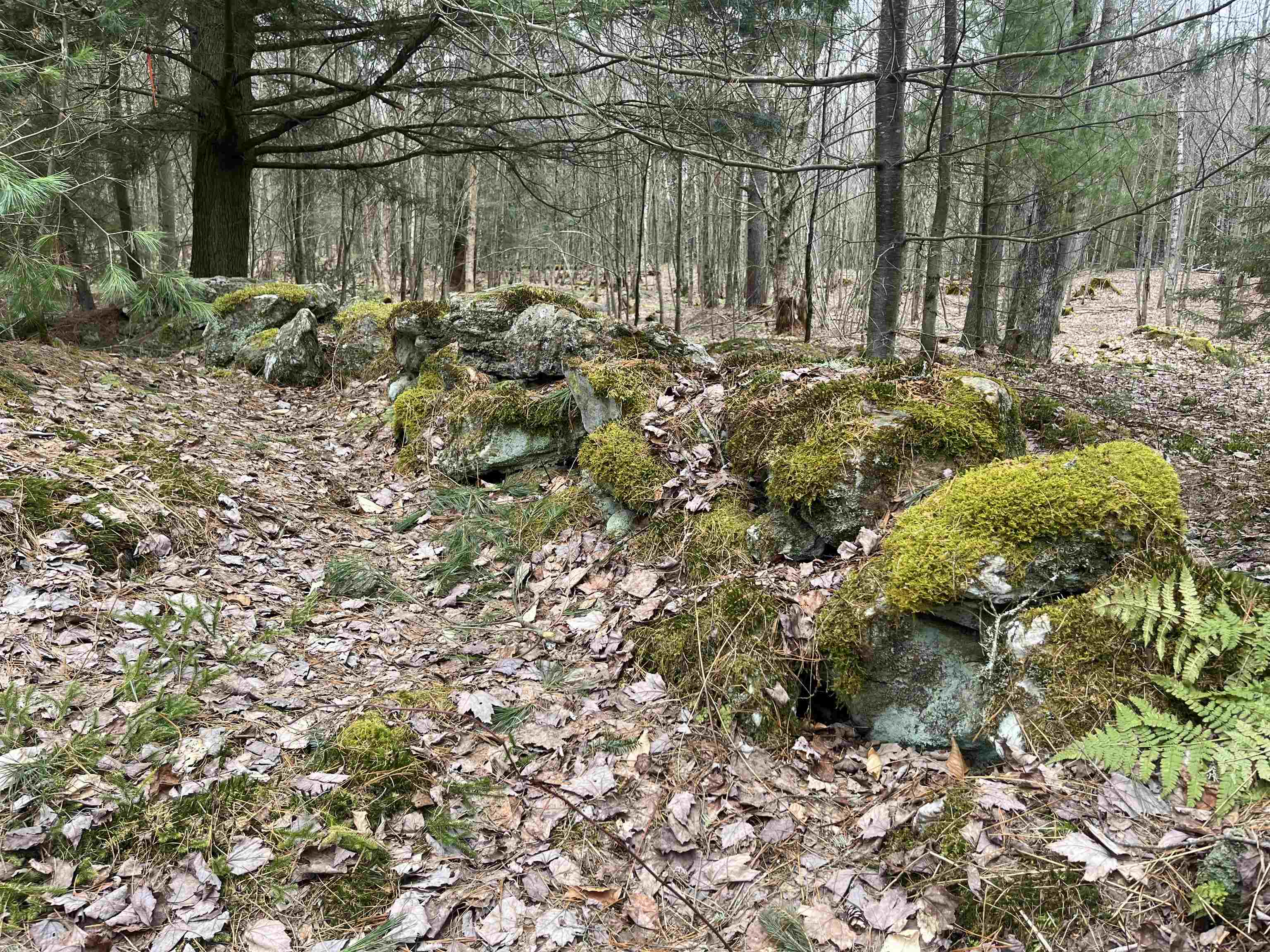 Lot 5 Haley Drive, Unit LOT 5 Hyde Park, VT 05655 - Photo 2 of 12