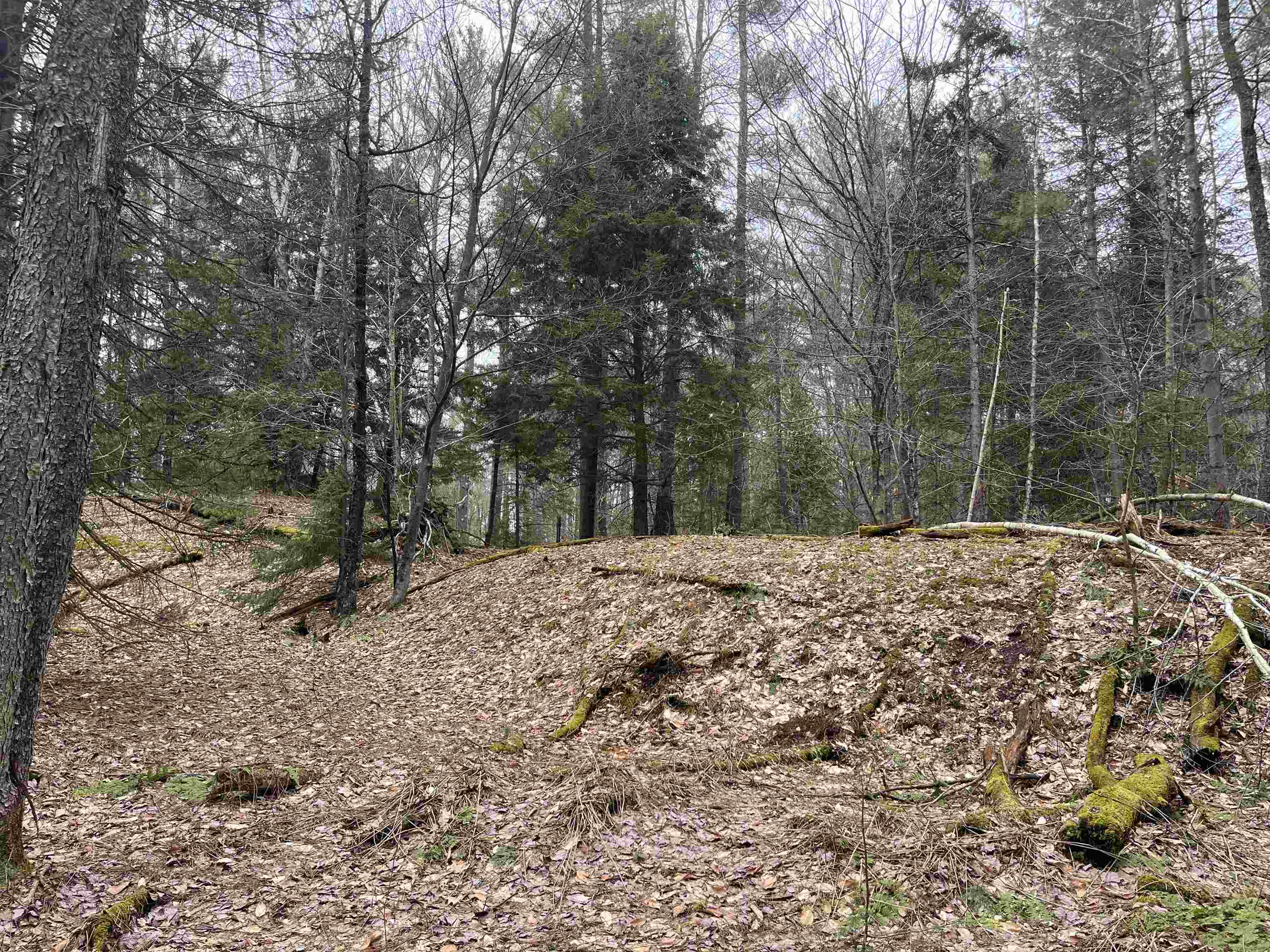 Lot 5 Haley Drive, Unit LOT 5 Hyde Park, VT 05655 - Photo 3 of 12