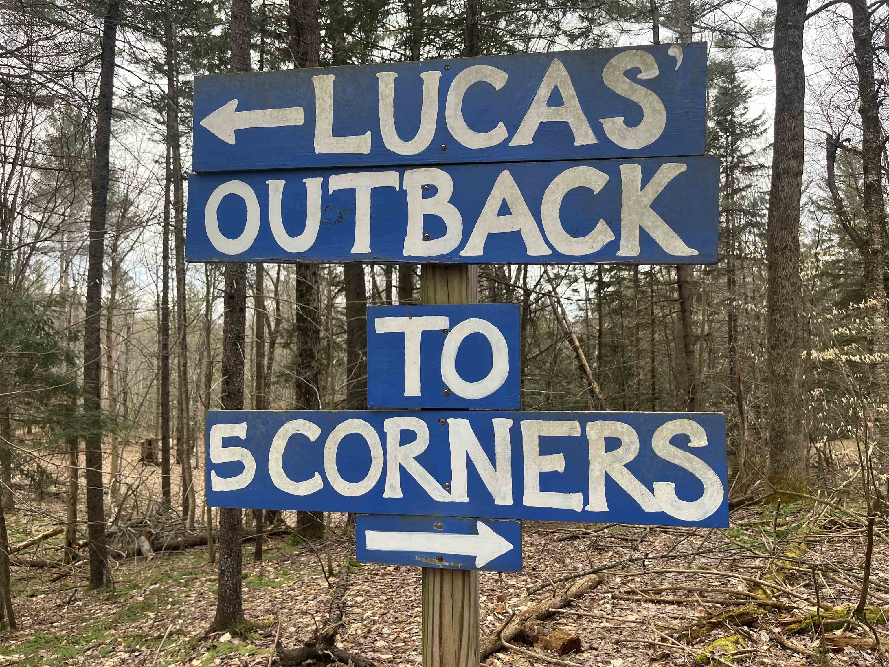 Lot 5 Haley Drive, Unit LOT 5 Hyde Park, VT 05655 - Photo 6 of 12