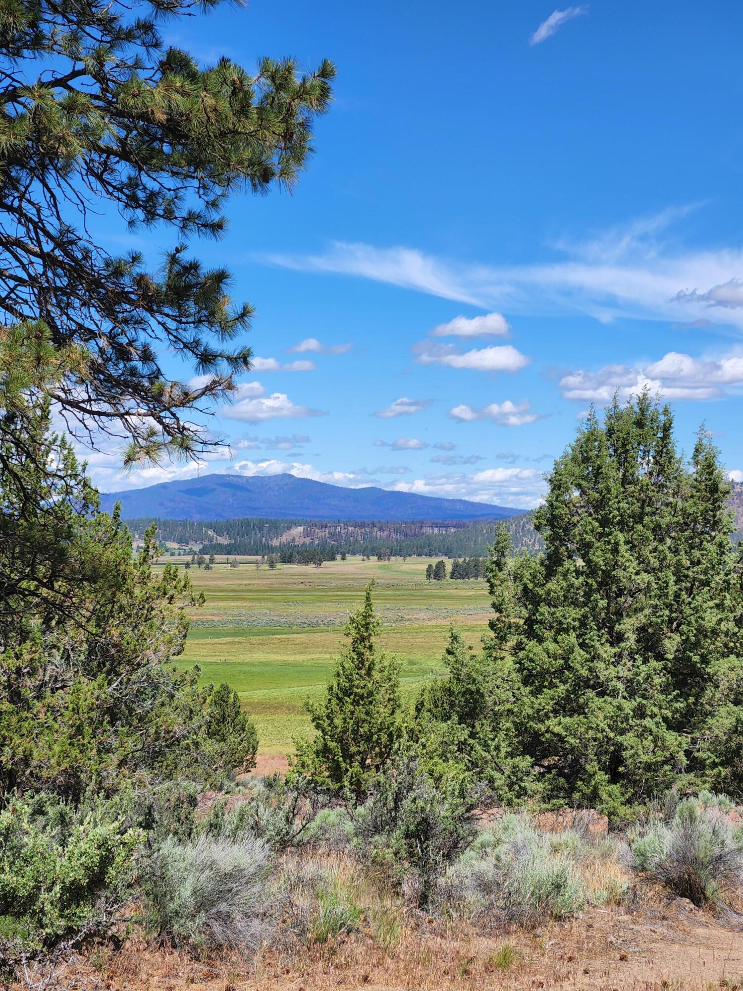 Lot 10 Quarry Circle Beatty, OR 97621 - Photo 8 of 12 Quarry L10