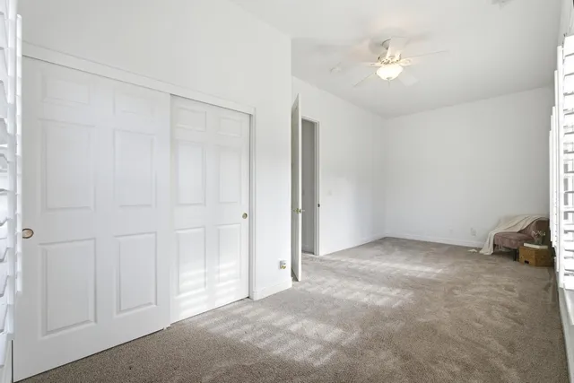 a view of a backyard with plants and palm tree