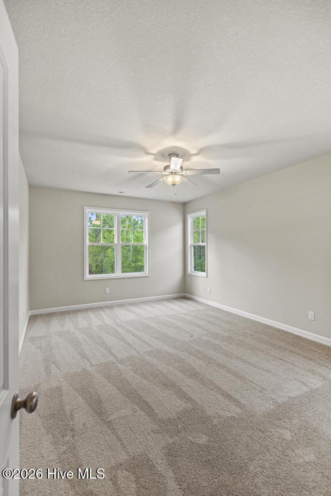 359 Frisco Way Holly Ridge, NC 28445 - Photo 17 of 38 425A4565
