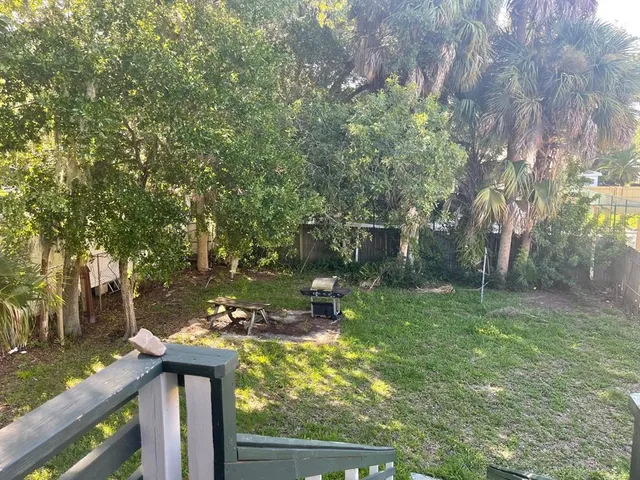 a view of a garden with plants