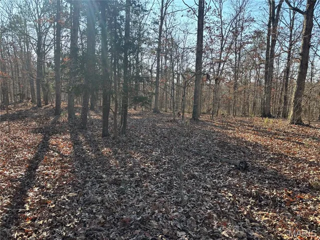 $239,999 | 10535 Hwy 67 Fredericktown Mo 63645, Fredericktown, MO 63645