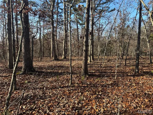 $239,999 | 10535 Hwy 67 Fredericktown Mo 63645, Fredericktown, MO 63645