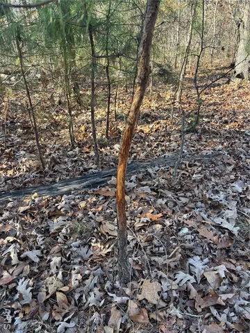 $239,999 | 10535 Hwy 67 Fredericktown Mo 63645, Fredericktown, MO 63645