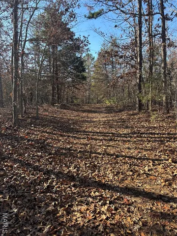 $239,999 | 10535 Hwy 67 Fredericktown Mo 63645, Fredericktown, MO 63645