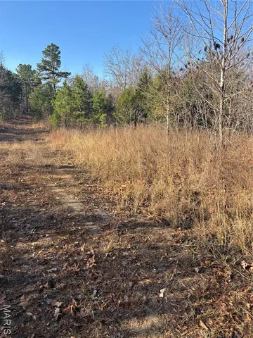 $239,999 | 10535 Hwy 67 Fredericktown Mo 63645, Fredericktown, MO 63645