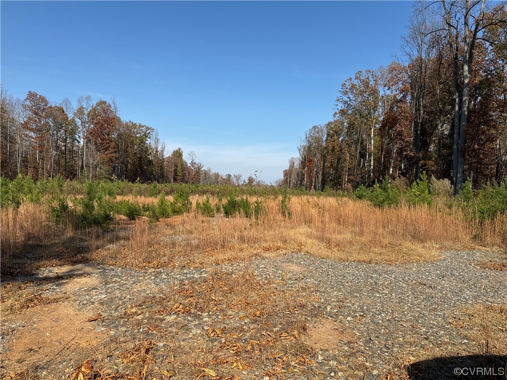 0 Halls Store Road Mineral, VA 23117 - Photo 1 of 1 a view of lake view and mountain view