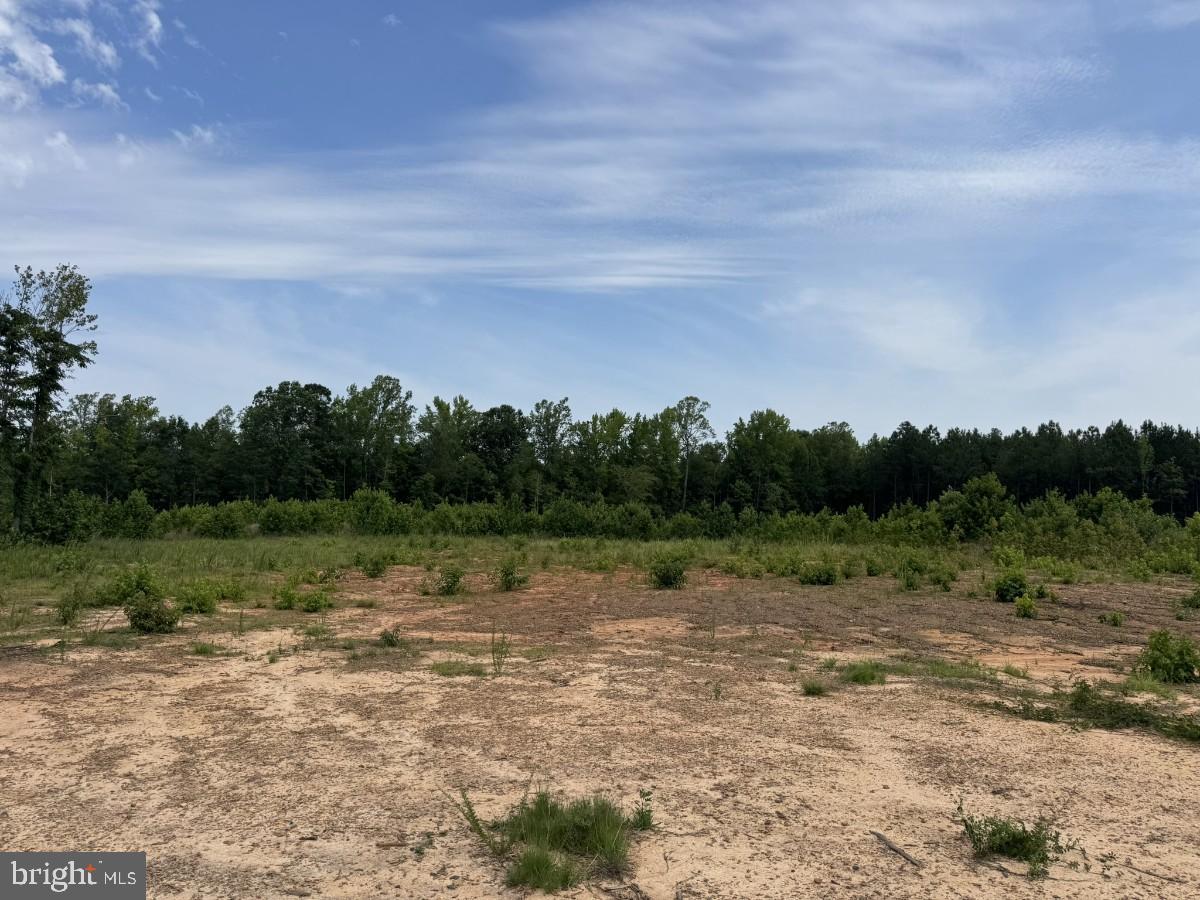 0 Benton Road Lawrenceville, VA 23868 - Photo 11 of 24 a view of lake with green space
