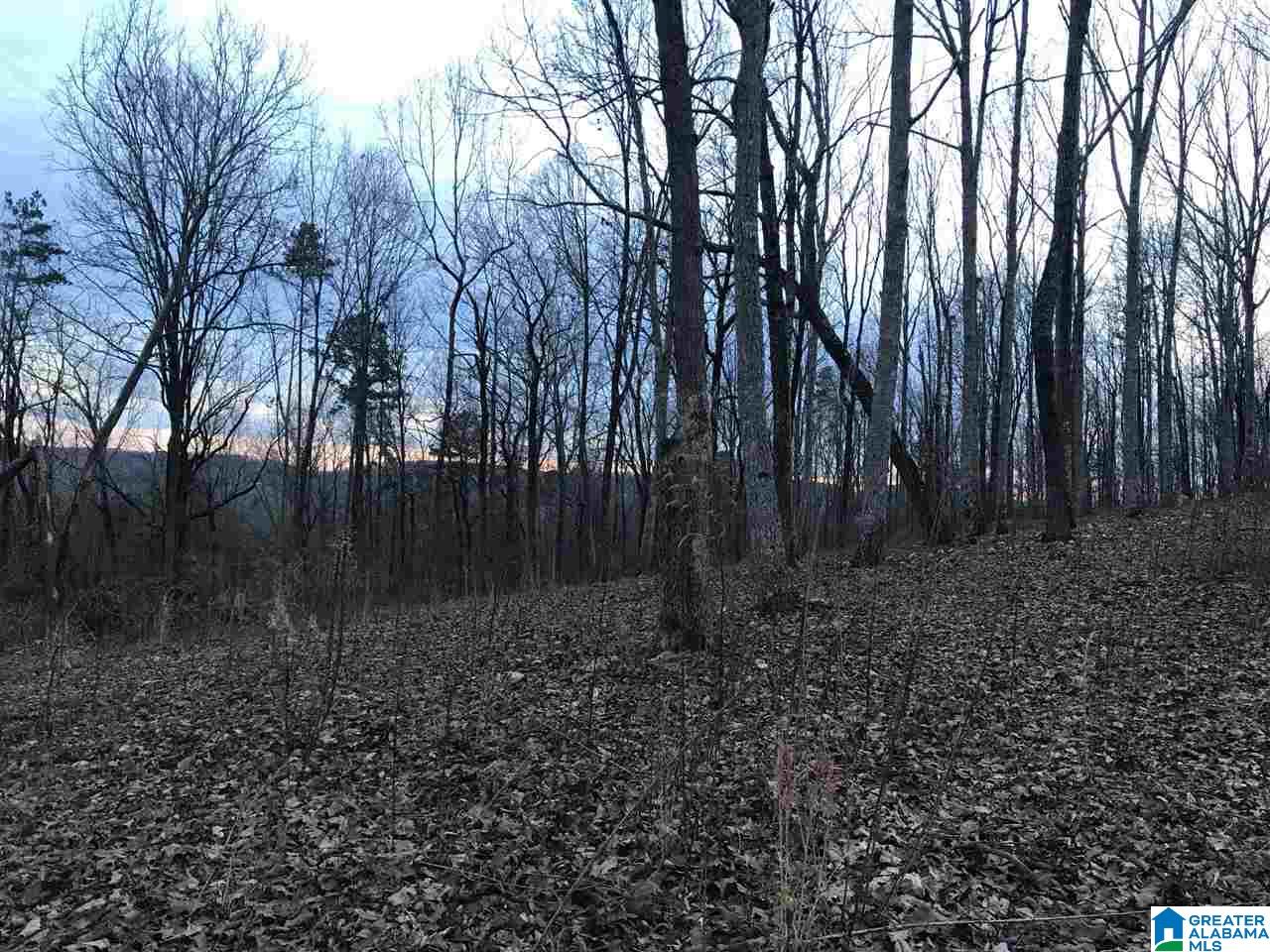 Larkhaven Lane Springville, AL 35146 - Photo 7 of 7