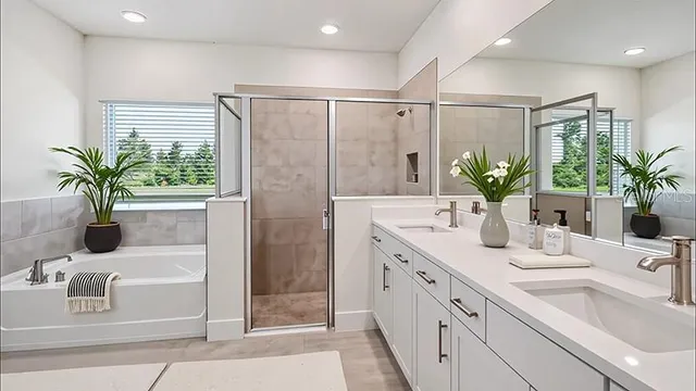 a bathroom with a granite countertop sink a mirror a potted plant and a shower