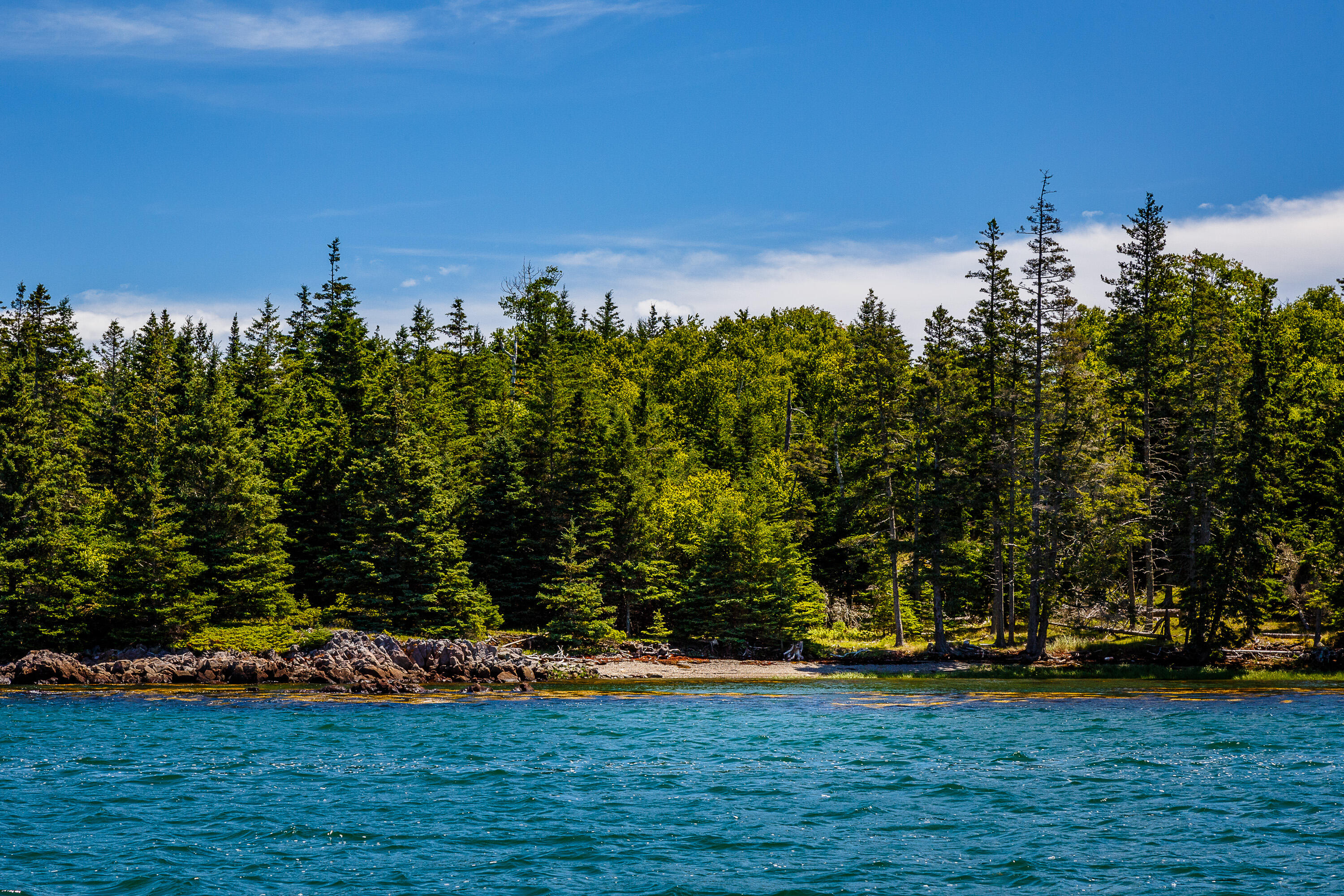 273 Indian Point Road North Haven, ME 04853 - Photo 5 of 31 40_273IndianPoint_NorthHaven_S_print