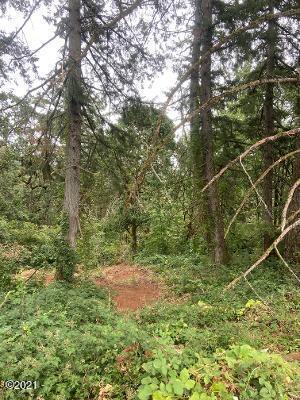 Lot 100 Delaney Road Southeast Salem, OR 97306 - Photo 5 of 5 17.62 Acres