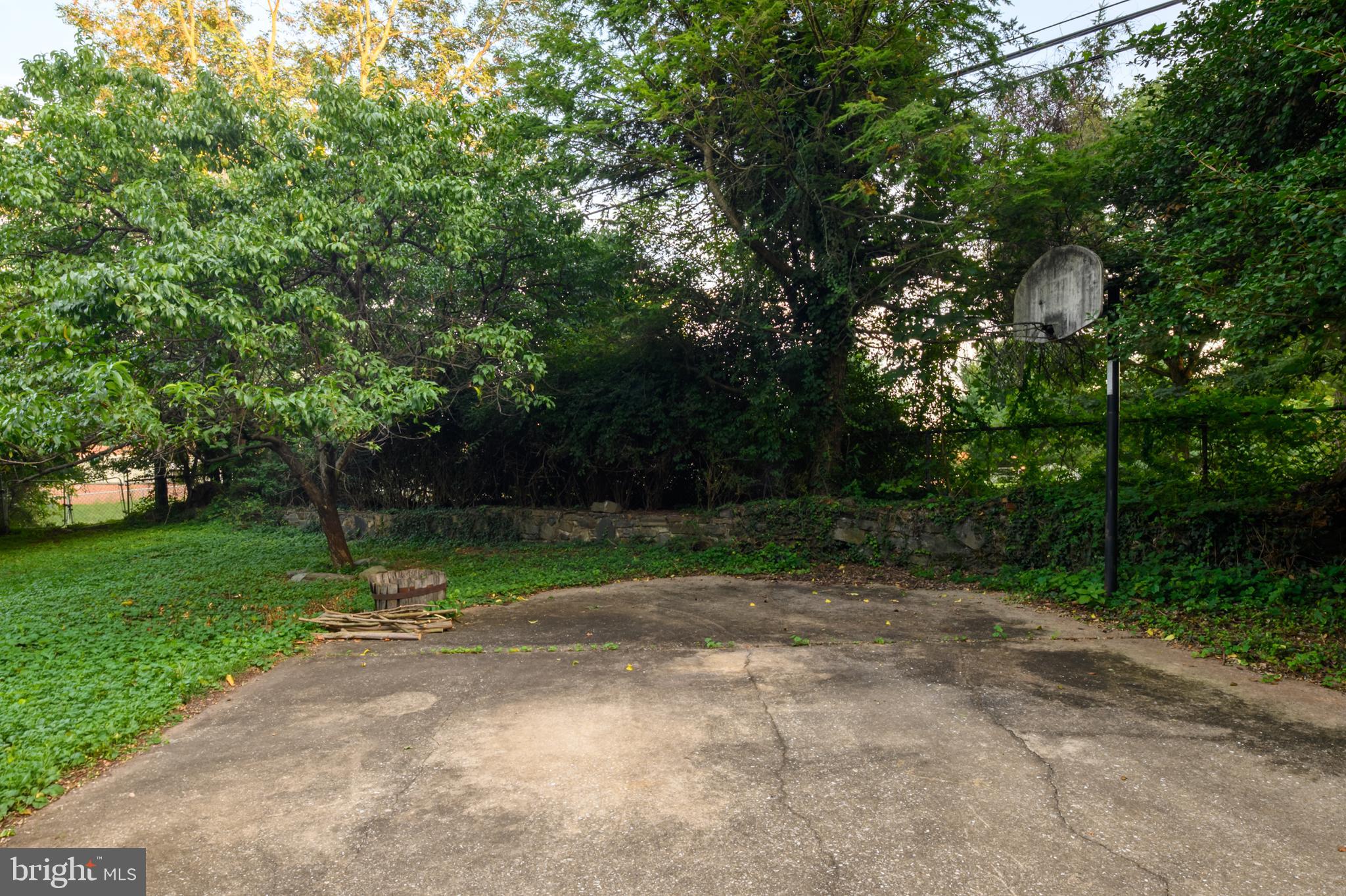 306 Kingston Road Baltimore, MD 21229 - Photo 39 of 44 Basketball