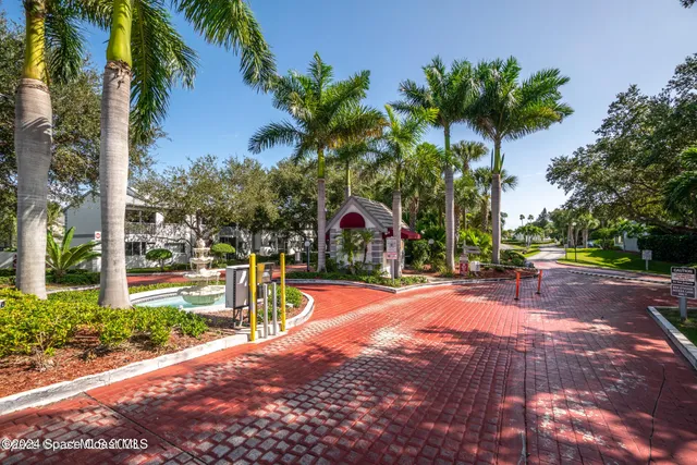 a view of a palm trees with a yard