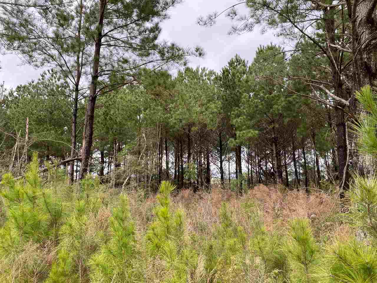 9699 Spanish Fort Boulevard Daphne, AL 36527 - Photo 5 of 6