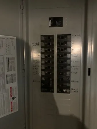 a view of a backyard with plants and wooden fence