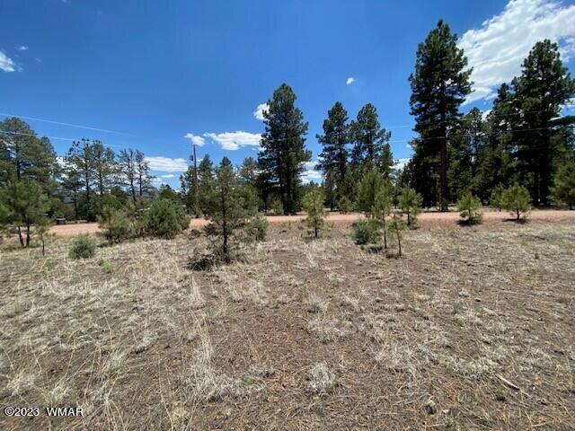 Lot 63 County Road Nutrioso, AZ 85932 - Photo 12 of 12