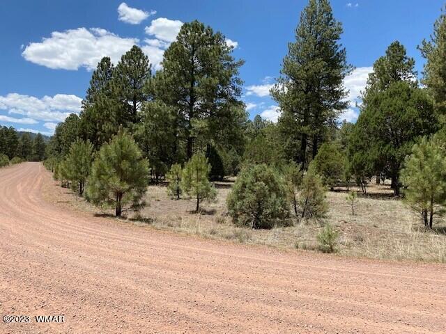 Lot 63 County Road Nutrioso, AZ 85932 - Photo 2 of 12